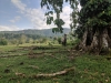 countryside near Bahia Solana, Choco, Colombia