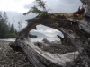 Haida Gwaii, BC, Canada