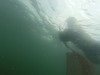 dive-gopro.00_01_16_22.Still008