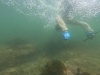 dive-gopro.00_04_40_04.Still024