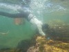 dive-gopro.00_06_41_09.Still044