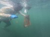 dive-gopro.00_11_54_01.Still074